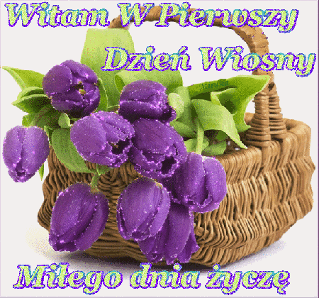 Witam w pierwszy dzień wiosny